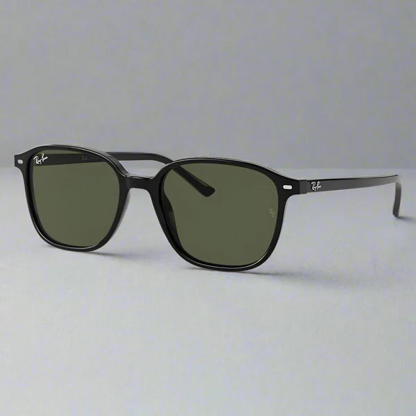 RAY-BAN, Ochelari de soare, LEONARD RB2193 - 901/31